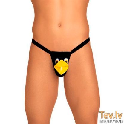 Attēls Stringi Roxana Men String (1363) putns