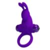 Attēls Erekcijas gredzens Pretty love ring 2 (0200) Vibrating ring