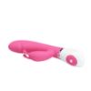Attēls Vibrators Gene (0095)