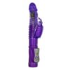 Attēls Vibrators Pleasure up and down (0134) violets