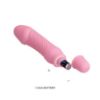Picture of Vibrators Pretty love Stev (0206) v1