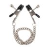 Изображение Украшение Fetish fantasy series (0528) Bullnose nipple clamps