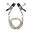 Изображение Украшение Fetish fantasy series (0528) Bullnose nipple clamps