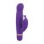 Attēls Vibrators Entice Elizabeth (0082) violets