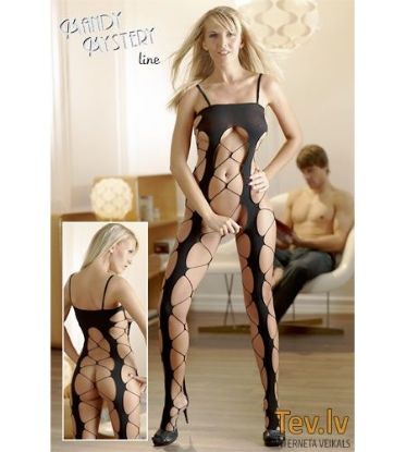 Picture of MandyMystery Catsuit [S-L] (1360) Open Fishnet