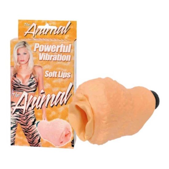 Attēls Vagīna Powerful vibration (0504)