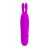 Attēls Vibrators Boyce (0096)