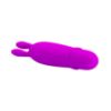 Attēls Vibrators Boyce (0096)