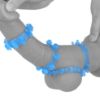 Picture of Erection rings set Luminoplay v1 (0353) glow in the dark