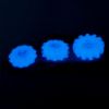 Picture of Erection rings set Luminoplay v2 (0353) glow in the dark