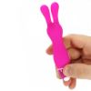 Picture of Vibrators Vibe Therapy (0206) Lapin